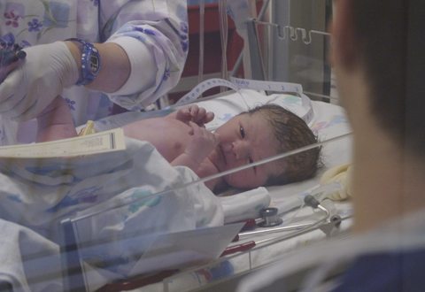 The Miracle of New Life