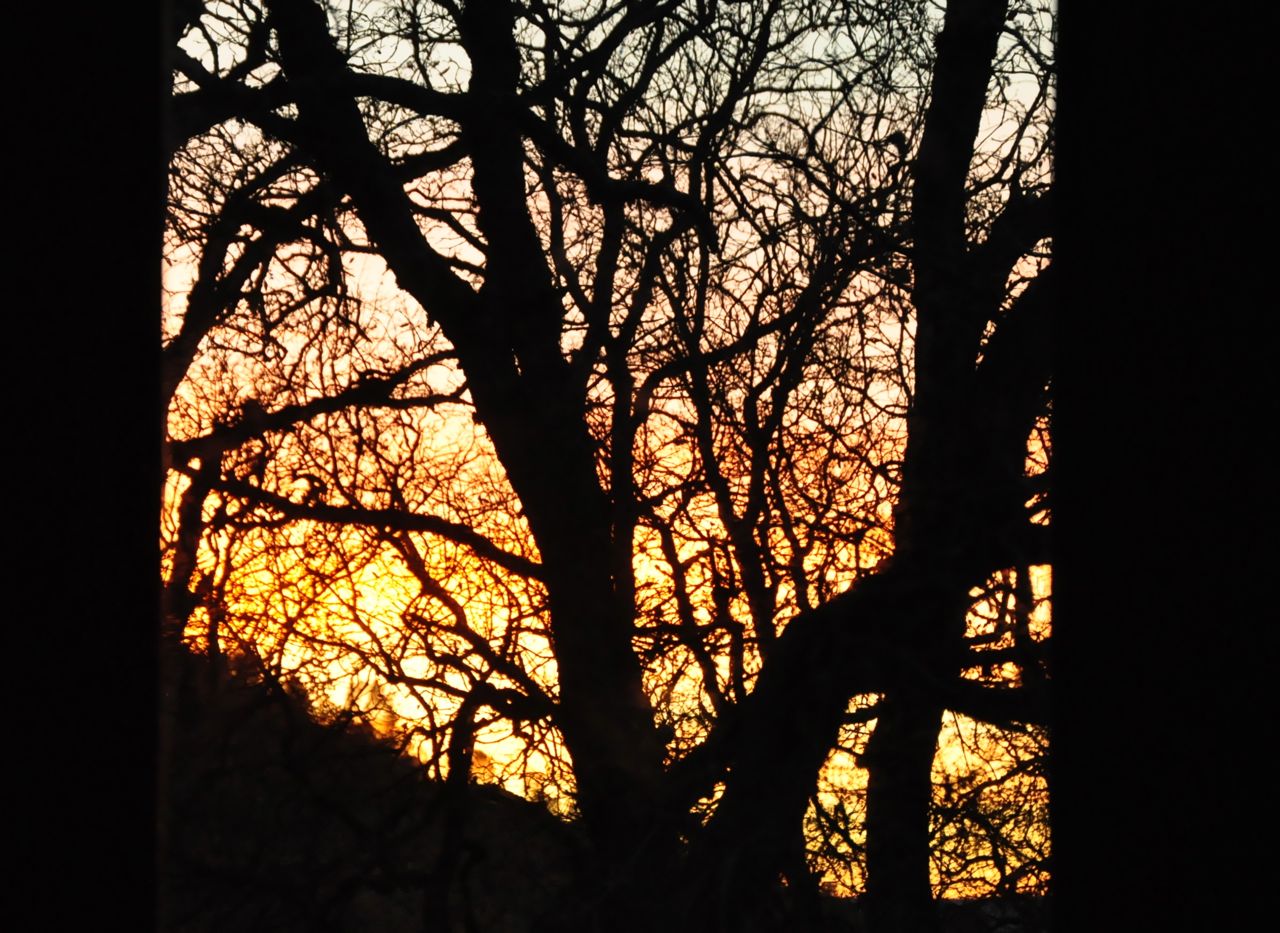 HarbinSunrise - Winter Solstice—Trusting the Return of the Light