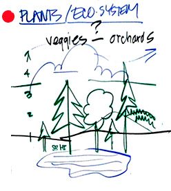 5Plants - Business Models & Mental Models