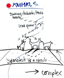 6Animals - Business Models & Mental Models