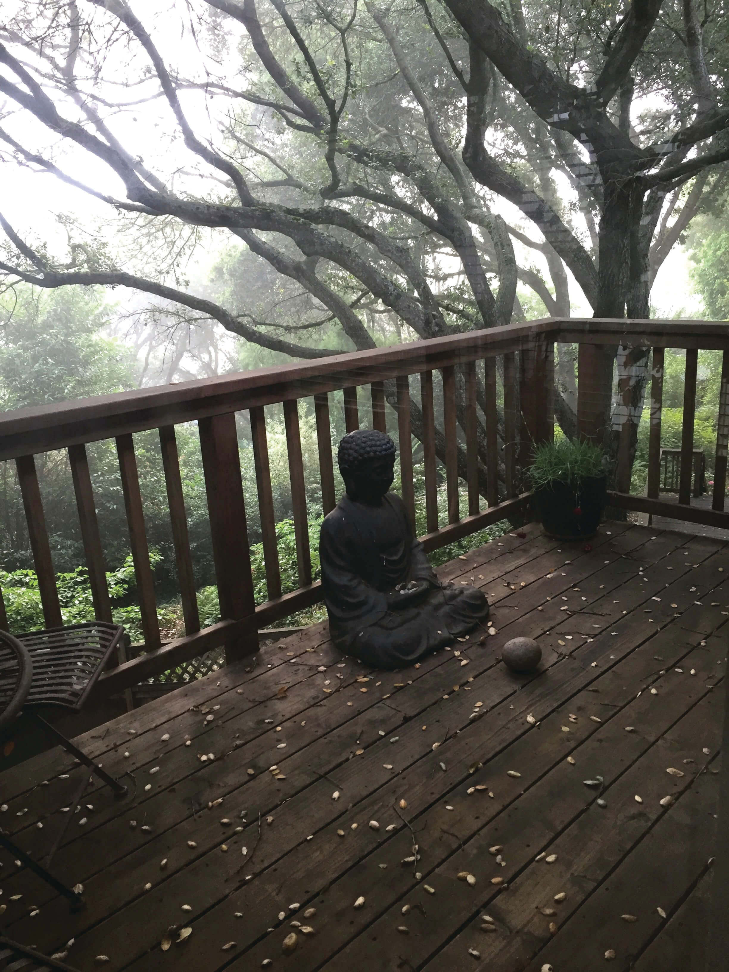 BuddhaFog - The Sacred Life of Boxes