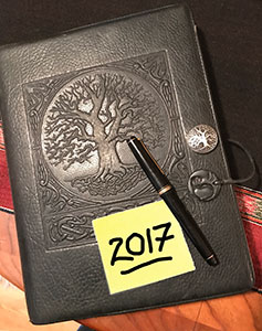 ds_2017_journal_image_01_2017