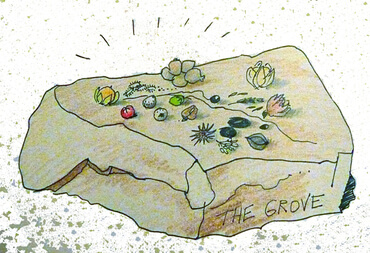 Groveseeds1jpg - Seeds of Light