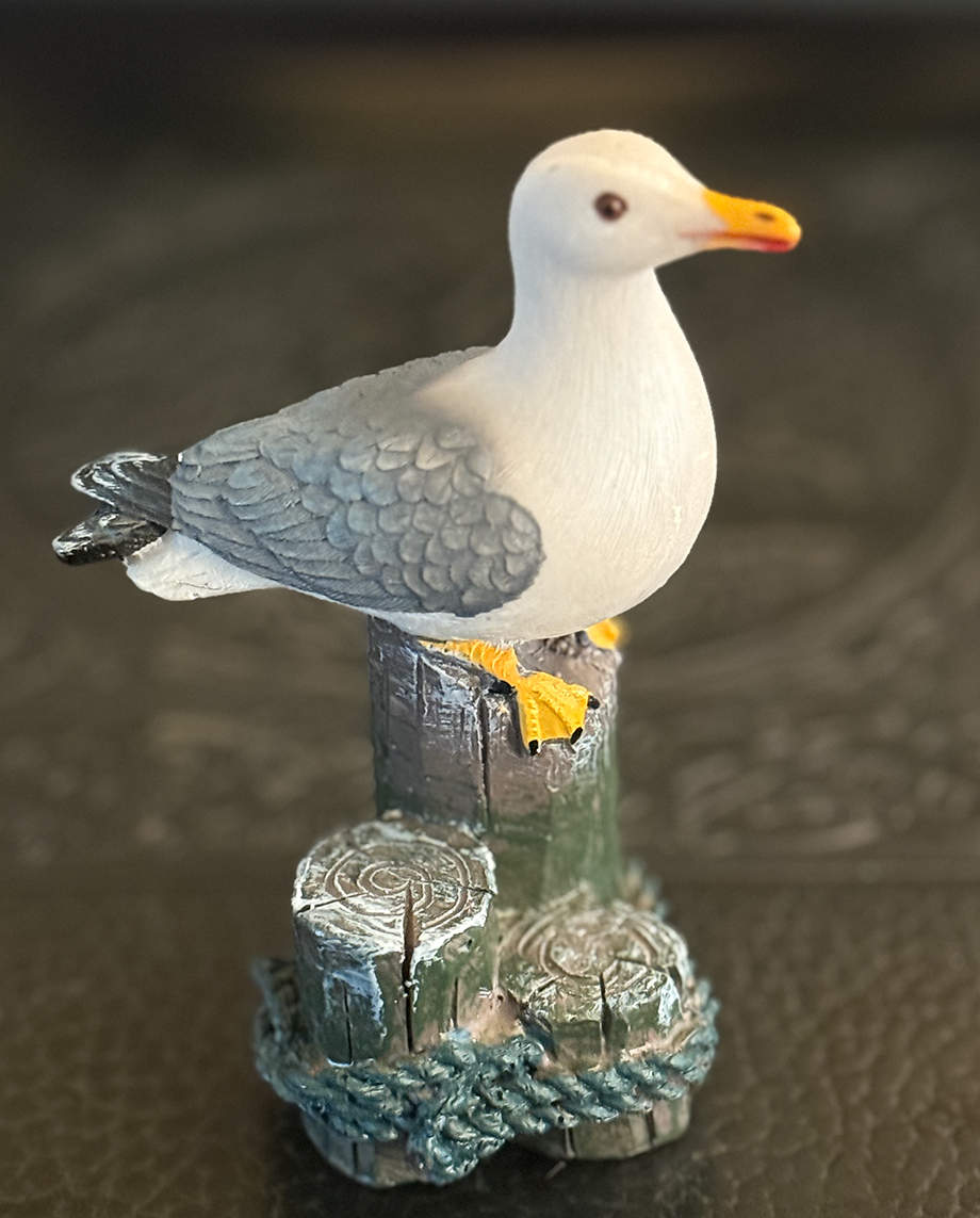 Seagull