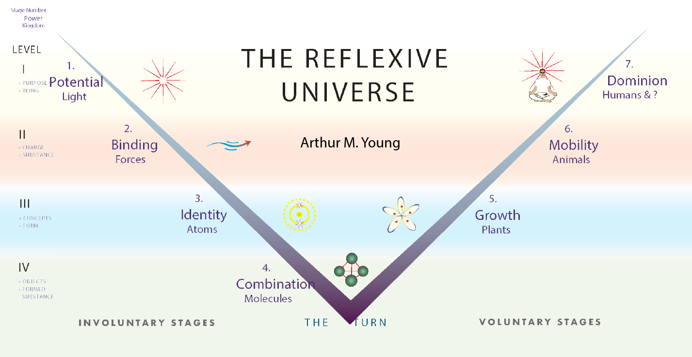 topnewbandswithtorus